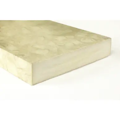 PEEK 450 FE20 plate